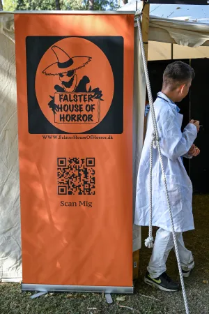 Gallery Image 203